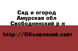  Сад и огород. Амурская обл.,Свободненский р-н